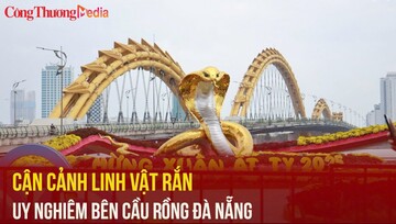 Cận cảnh linh vật rắn uy nghiêm bên cầu rồng Đà Nẵng