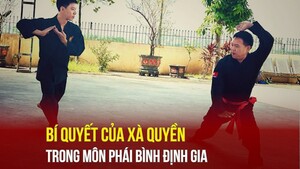 Bí quyết của Xà quyền trong môn phái Bình Định Gia