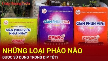 Những loại pháo nào được sử dụng trong dịp Tết?