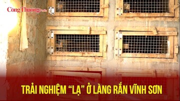Trải nghiệm lạ ở làng rắn Vĩnh Sơn