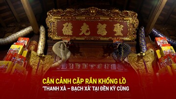 Cận cảnh cặp rắn khổng lồ ‘Thanh Xà – Bạch Xà’ tại Đền Kỳ Cùng