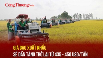 Giá gạo xuất khẩu sẽ dần tăng trở lại từ 435 - 450 USD/tấn