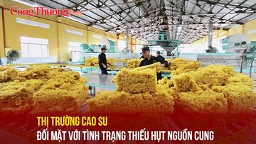 Thị trường cao su đối mặt với tình trạng thiếu hụt nguồn cung