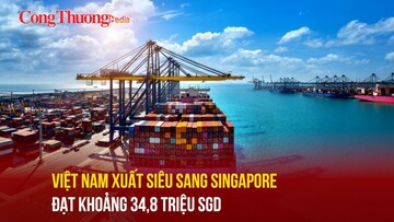 Việt Nam xuất siêu sang Singapore đạt khoảng 34,8 triệu SGD