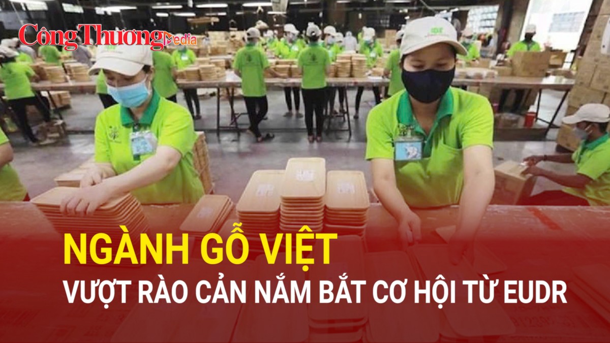 Ngành gỗ Việt vượt rào cản, nắm bắt cơ hội từ EUDR