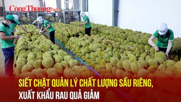 Siết chặt quản lý chất lượng sầu riêng, xuất khẩu rau quả giảm