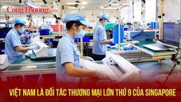 Việt Nam là đối tác thương mại lớn thứ 9 của Singapore