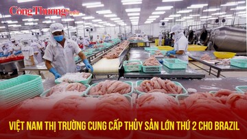 Việt Nam - thị trường cung cấp thủy sản lớn thứ 2 cho Brazil
