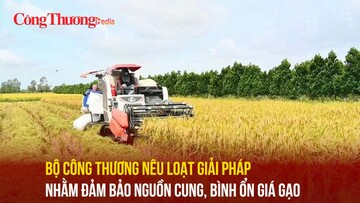 Bộ Công Thương nêu loạt giải pháp nhằm đảm bảo nguồn cung, bình ổn giá gạo