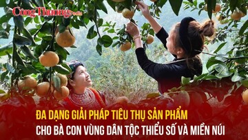 Đa dạng giải pháp tiêu thụ sản phẩm cho bà con vùng dân tộc thiểu số và miền núi