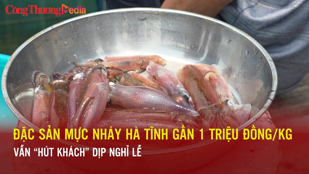 Đặc sản mực nháy Hà Tĩnh gần 1 triệu đồng/kg vẫn hút khách dịp nghỉ lễ