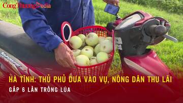 Hà Tĩnh: Thủ phủ dưa vào vụ, nông dân thu lãi gấp 6 lần trồng lúa