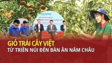 Giỏ trái cây Việt - Từ triền núi đến bàn ăn năm châu