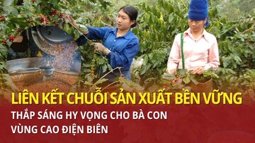 Liên kết chuỗi sản xuất bền vững: Thắp sáng hy vọng cho bà con vùng cao Điện Biên
