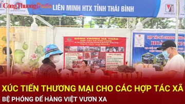 Xúc tiến thương mại cho các hợp tác xã: Bệ phóng để hàng Việt vươn xa