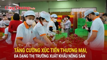 Tăng cường xúc tiến thương mại, đa dạng thị trường xuất khẩu nông sản
