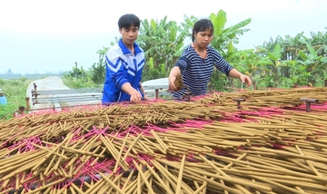 Làng nghề hương xạ thôn Cao vào vụ Tết