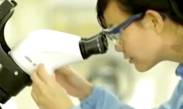 Muốn tăng năng suất doanh nghiệp cần tập trung áp dụng các công cụ hỗ trợ