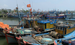 Đà Nẵng, Quảng Nam, Quảng Ngãi kêu gọi tàu thuyền vào bờ tránh bão số 1
