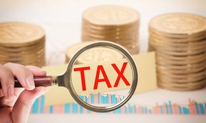 Bà Rịa - Vũng Tàu: Công ty Du lịch Marina Châu Pha bị cưỡng chế thuế