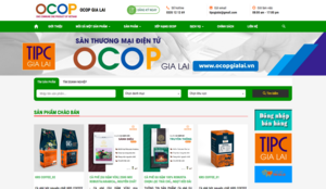 Thương mại điện tử mở lối cho nông sản Gia Lai vươn tầm
