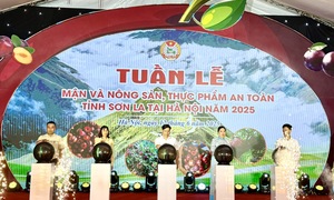 Khai mạc Tuần lễ mận và nông sản, thực phẩm an toàn tỉnh Sơn La
