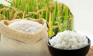 Tin Công Thương 12/6: Doanh nghiệp Việt rộng cửa xuất khẩu gạo sang Canada