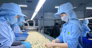 Tận dụng tốt hơn EVFTA để mở cửa thị trường cho hàng Việt Nam vào Litva
