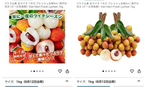 Vải thiều Việt Nam bán trên sàn Amazon Nhật Bản với giá nửa triệu đồng/kg