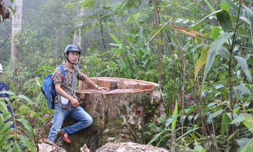 Nhà báo Hoàng Chiên: Mỗi tác phẩm điều tra là 'cuộc chiến với bóng tối’