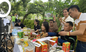 Hưng Yên mở đường cho sản phẩm OCOP bằng chiến lược xúc tiến thương mại bài bản