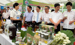Quảng Bình: Tăng cường khuyến công, đẩy mạnh xúc tiến thương mại