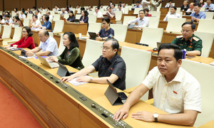 Chính phủ giữ nguyên quy định về chủ sở hữu hưởng lợi và phát hành trái phiếu