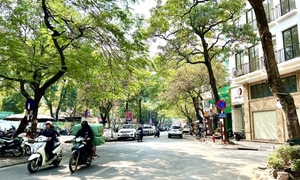 Thời tiết hôm nay 18/6: Bắc Bộ có mưa dông
