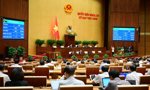 Thông qua Luật sửa đổi, bổ sung một số điều Luật Chất lượng sản phẩm, hàng hóa