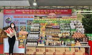 Lâm Đồng mở ‘cung đường mới’ cho nông sản vùng dân tộc