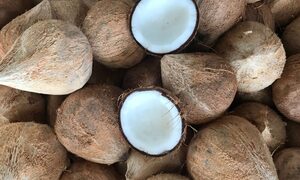 Nhập khẩu dừa chế biến tăng 11,3 lần