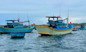 Thời tiết biển hôm nay 19/6/2025: Gió nhẹ, biển êm