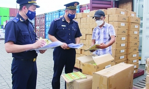 Nợ thuế hơn 32 tỷ đồng, Công ty xây dựng số 14 bị dừng thủ tục hải quan