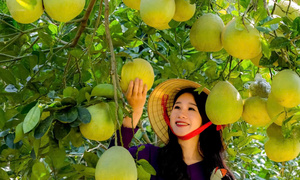 Thu nhập nông thôn mới: Nỗ lực rút ngắn khoảng cách
