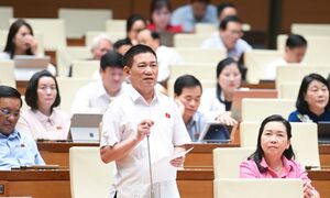 Có thể duy trì thuế khoán với hộ kinh doanh có doanh thu dưới 1 tỷ đồng