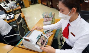 Vay đến 500 triệu, không cần thế chấp với hộ kinh doanh nông nghiệp