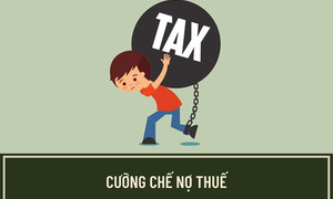 Công ty Minh Nguyệt tại An Giang bị ngừng sử dụng hóa đơn