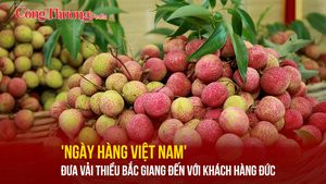 'Ngày hàng Việt Nam' - đưa vải thiều Bắc Giang đến với khách hàng Đức