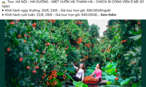 Du lịch nông sản 0 đồng ‘hút khách’ mùa hè