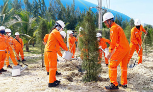 Tuổi trẻ Nhiệt điện Vĩnh Tân 4 trồng cây xanh vì môi trường
