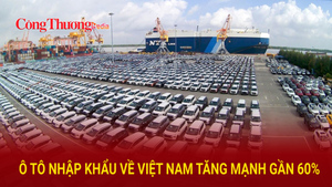 Ô tô nhập khẩu về Việt Nam tăng mạnh gần 60%
