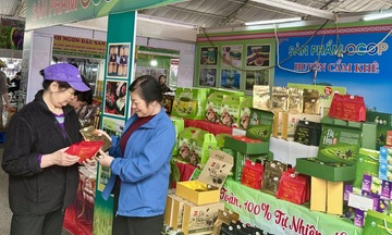 OCOP Phú Thọ – Bệ phóng cho sản phẩm địa phương vươn xa