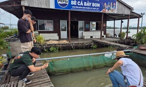 Cần Thơ: Du lịch miệt vườn vào mùa rộn ràng đón khách