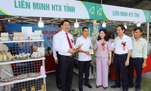 Thanh Hóa: Thu nhập nông thôn tăng gấp 7 lần sau 14 năm